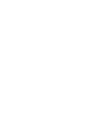 BPFF2024